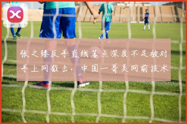 张之臻反手直线落点深度不足被对手上网截击，中国一哥美网前技术短板需紧急修补